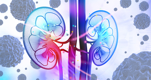 maintain your kidney health to avoid cancer.