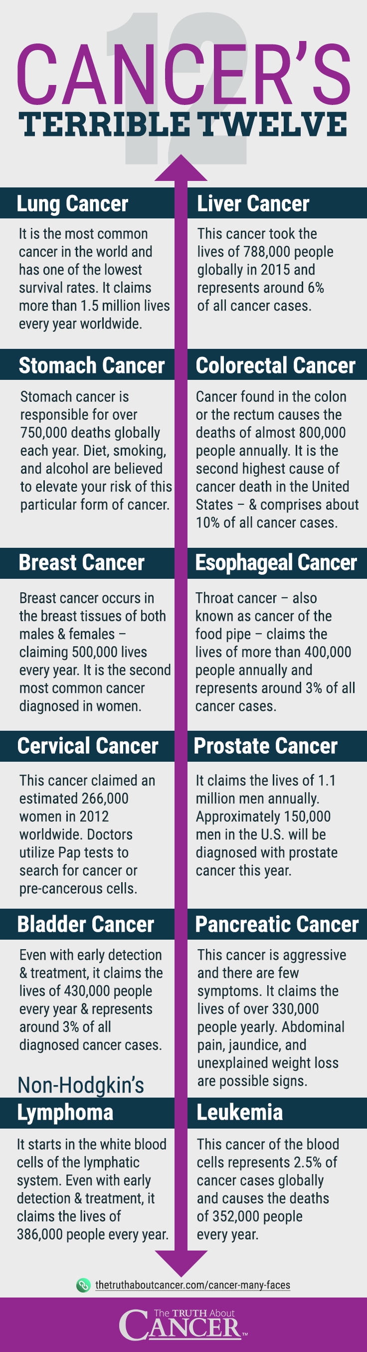 12 Most Common Types of Cancer Infographic