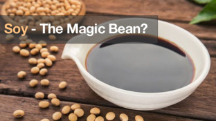 Soy — The Magic Bean?