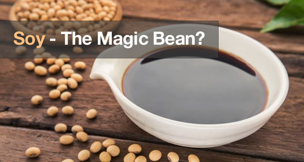 Soy — The Magic Bean?