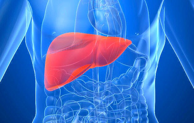 Statistics and Causes of Liver Cancer