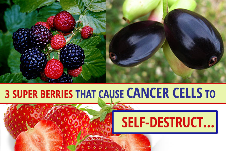 3 Super Berries That Cause Cancer Cells to Self-Destruct…