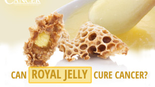 Can Royal Jelly Cure Cancer?