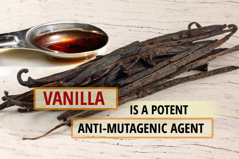 Vanillin: The Cancer-Fighting Compound Found in Vanilla Beans