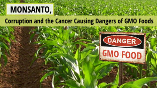 Monsanto, Corruption, and the Cancer Causing Dangers of GMO Foods (video)