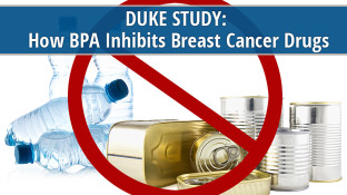 Duke Study: How BPA Inhibits Breast Cancer Drugs