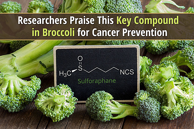 Researchers Praise This Key Compound in Broccoli for Cancer Prevention