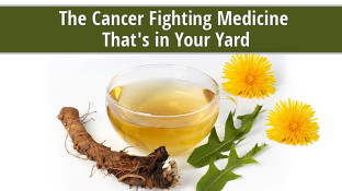 The Cancer Fighting Medicine That's Growing in Your Yard