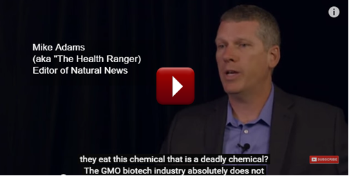 What is Your Biggest Health Risk When Eating GMO Foods? (video)