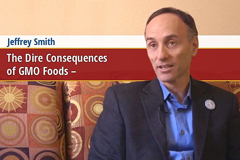 The Dire Consequences of GMO Foods (video)