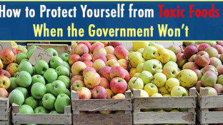 How to Protect Yourself from Toxic Foods When the Government Won’t