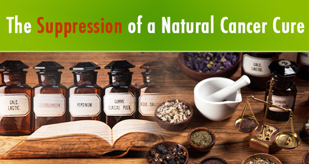 The Suppression of a Natural Cancer Cure