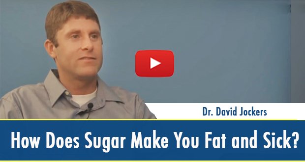 How Does Sugar Make You Fat and Sick? (video)