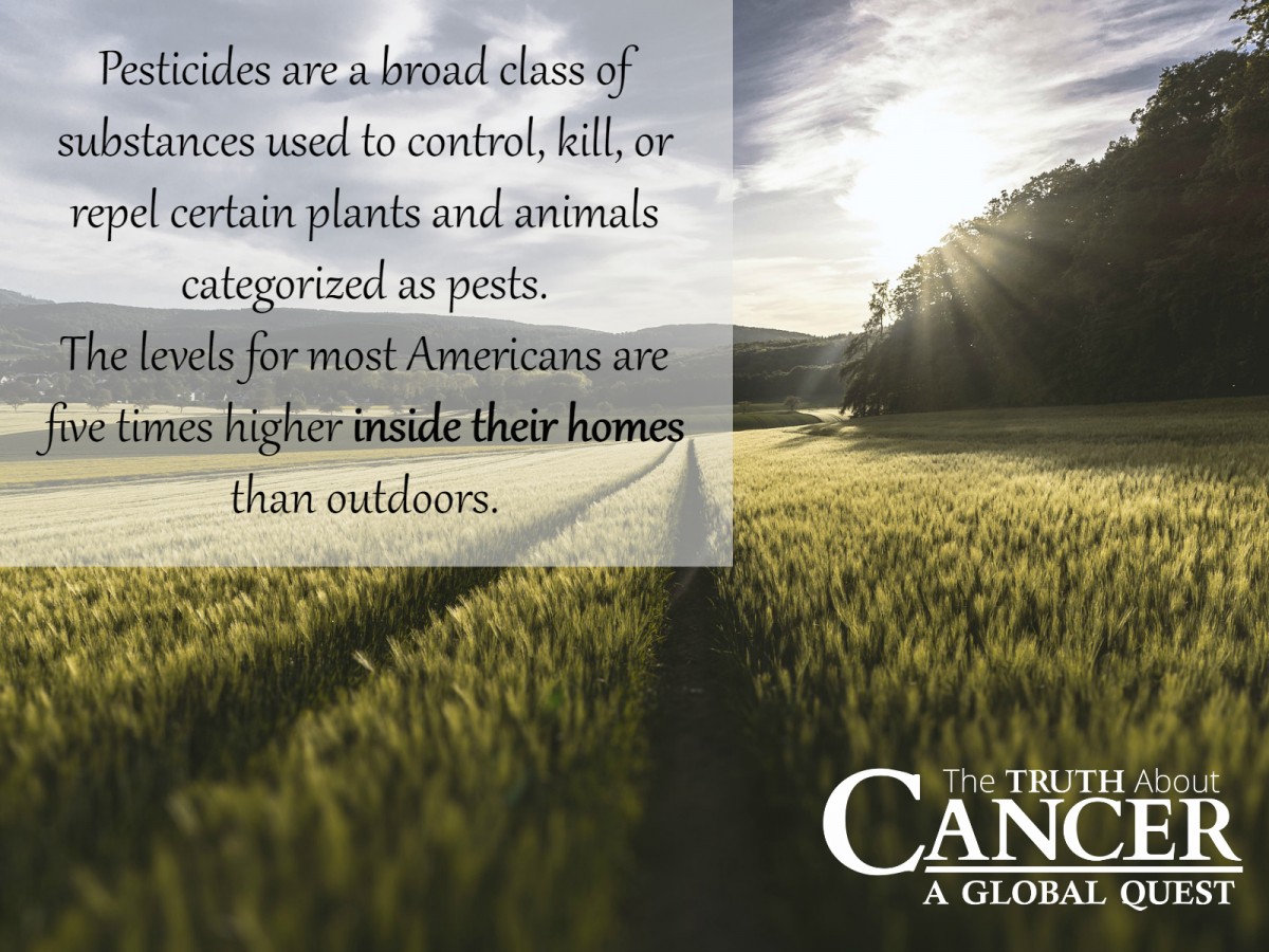 TTAC - Pesticides-and-Cancer