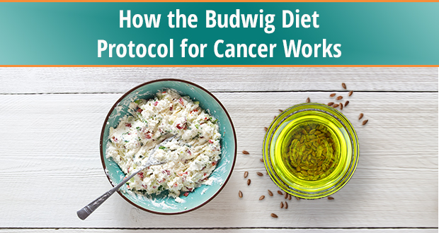 Budwig Diet For Dogs Mixture