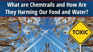 What are Chemtrails and How Are They Harming Our Food and Water?