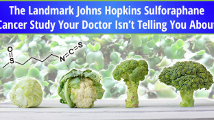 The Landmark Johns Hopkins Sulforaphane Cancer Study Your Doctor Isn’t Telling You About