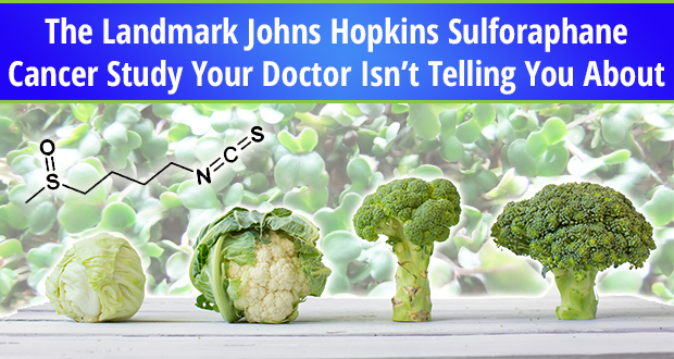 The Landmark Johns Hopkins Sulforaphane Cancer Study Your Doctor Isn’t Telling You About