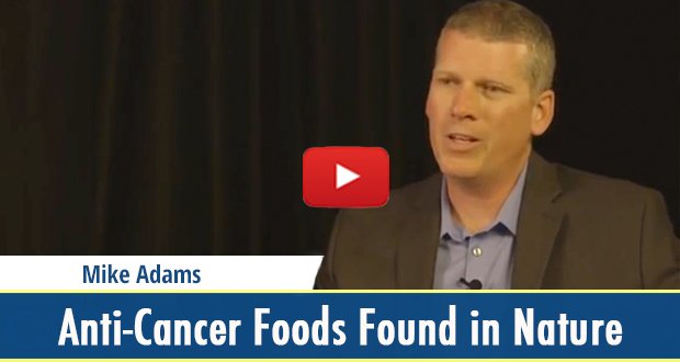 Anti-Cancer Foods Found in Nature (video)