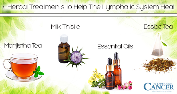 4-herbal-treatments-To-Help-Your-Lymphic System