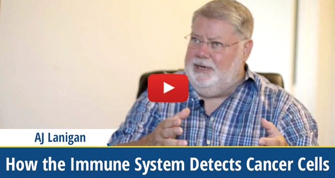 How a Healthy Immune System Detects Cancer Cells (video)