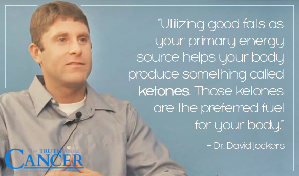 Quote by Dr. David Jockers about good fats in your diet.