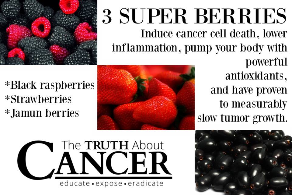 Three super berries you should add to your anti-cancer diet.