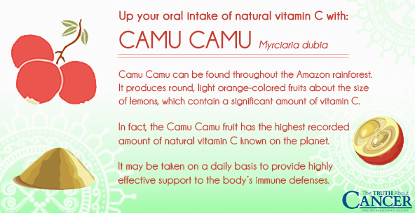 Camu camu is a natural source for Vitamin C cancer therapy