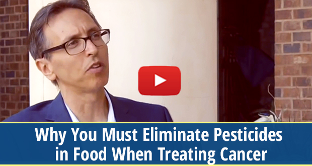 Why You Must Eliminate Pesticides in Food When Treating Cancer (video)
