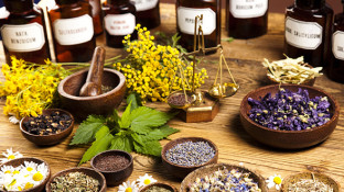 The Witch Hunt for "Alternative" Medicine Practitioners