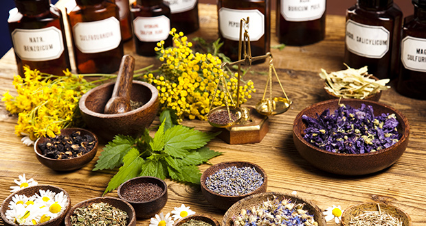 The Witch Hunt for "Alternative" Medicine Practitioners