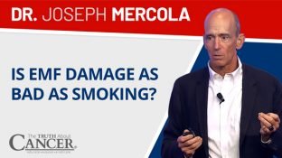 Is EMF Damage as Bad as Smoking? (video)