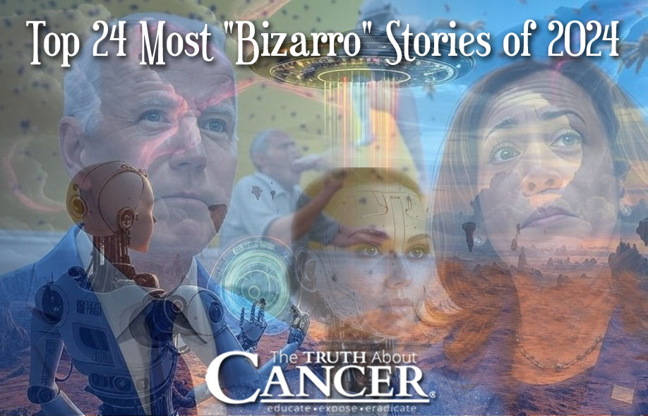 The 24 Most “Bizarro” Stories of 2024