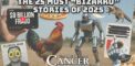 The 25 Most “Bizarro” Stories of 2025
