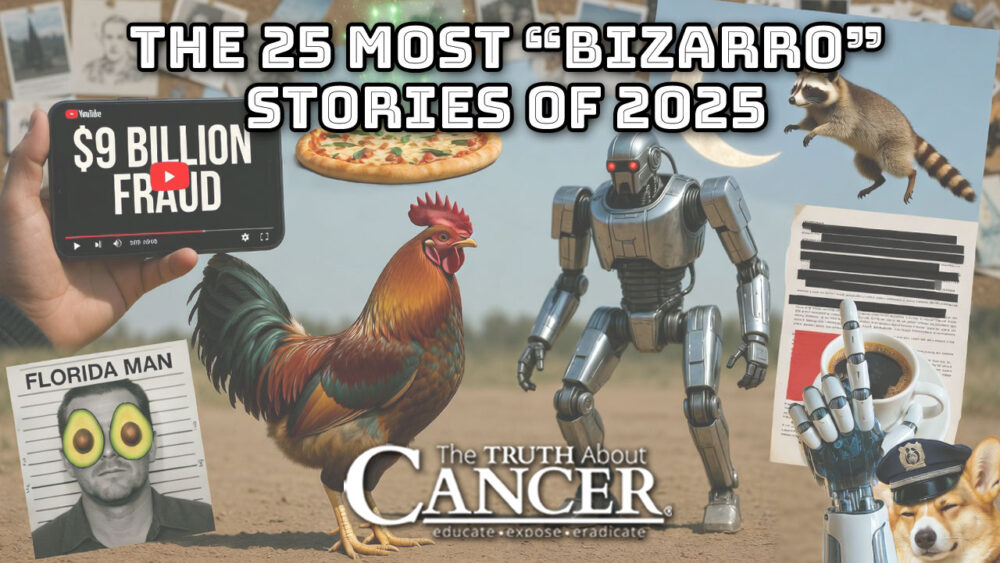 The 25 Most "Bizarro" Stories of 2025 The 25 Most "Bizarro" Stories of 2025