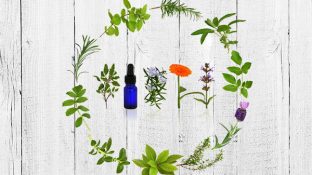 Restore Gut Health with These 4 Essential Oils