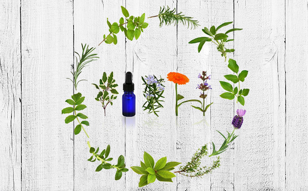 5 essential oil pairs for gut health