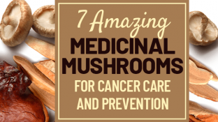 7 Amazing Medicinal Mushrooms for Cancer Care and Prevention