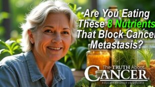 Are You Eating These 8 Nutrients That Block Cancer Metastasis?