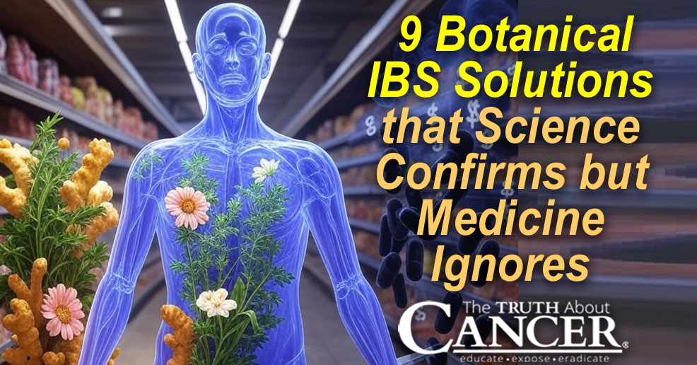 9 Botanical IBS Solutions that Science Confirms but Modern Medicine Ignores