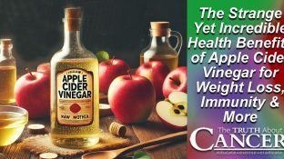 The Strange Yet Incredible Health Benefits of Apple Cider Vinegar for Weight Loss, Immunity & More The Strange Yet Incredible Health Benefits of Apple Cider Vinegar for Weight Loss, Immunity & More