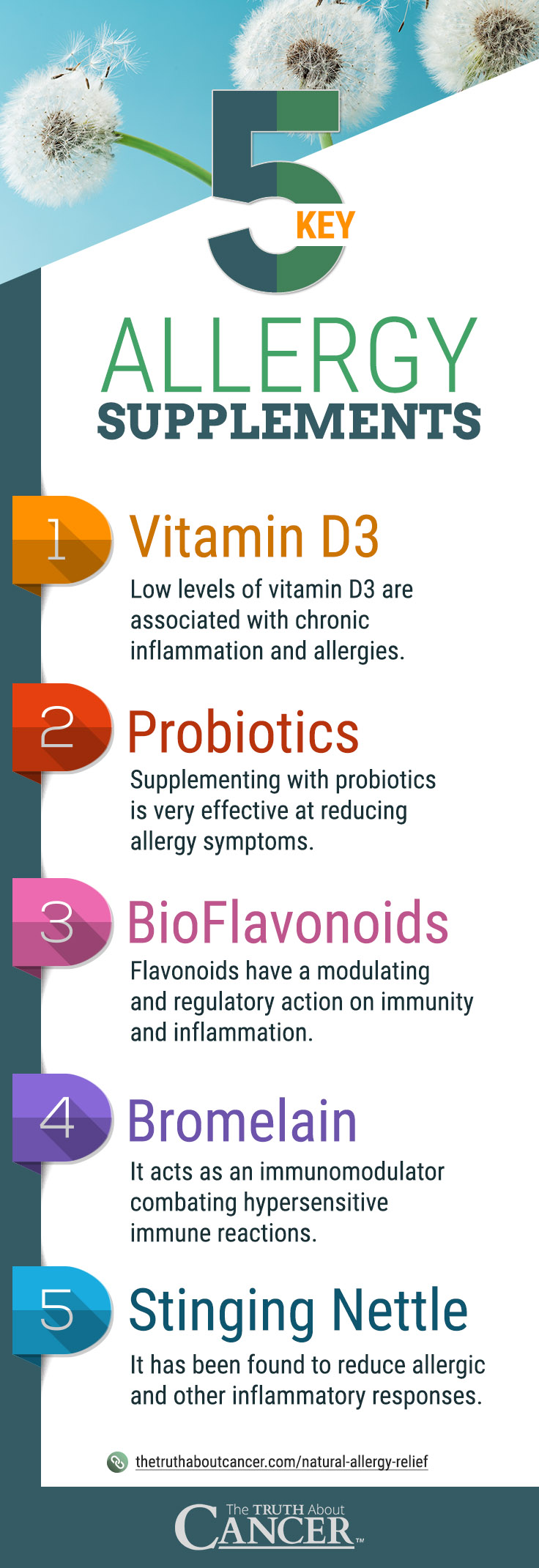 Here are 5 Key Allergy Supplements: Vitamin D3, Probiotics, BioFlavonoids, Bromelain, and Stinging Nettle. 