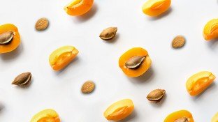 Apricot Kernels for Cancer: The Real Story of Laetrile