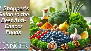 A Shopper's Guide to the Best Anti-Cancer Foods