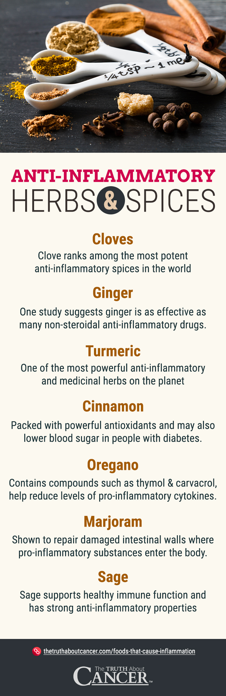 Anti-Inflammatory Spices - Infographic