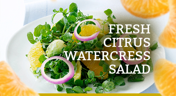 Fresh Watercress Citrus Salad Recipe