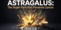 Astragalus: The Super Herb that Prevents Cancer