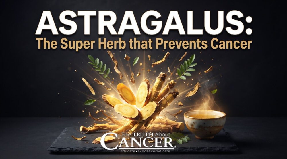 Astragalus: The Super Herb that Prevents Cancer Astragalus: The Super Herb that Prevents Cancer