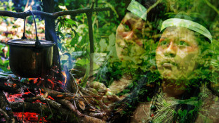 Ayahuasca Tea: Do Amazonian Tribes Hold a Cure for Cancer?