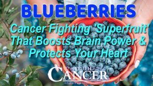 Blueberries: Cancer Fighting 'Superfruit' That Boosts Brain Power & Protects Your Heart Blueberries: Cancer Fighting 'Superfruit' That Boosts Brain Power & Protects Your Heart